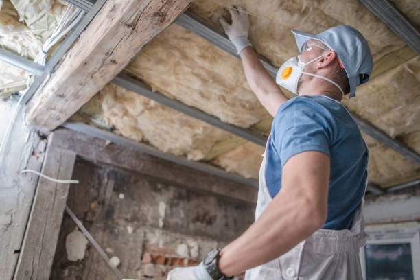 Types of Insulation We Offer in Raton, NM