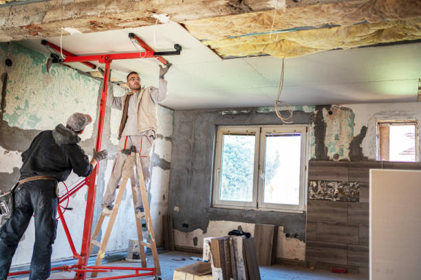 Best Geographic-Specific Insulation Services in Raton, NM