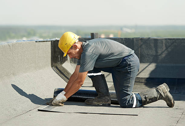 Best Insulation Maintenance and Repair in Raton, NM