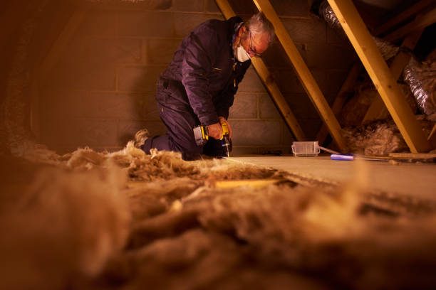 Best Eco-Friendly Insulation in Raton, NM